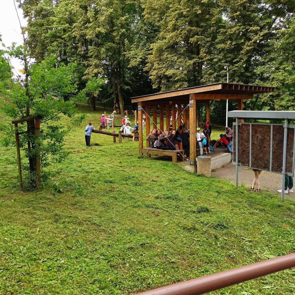 IMG20240620090034.jpg