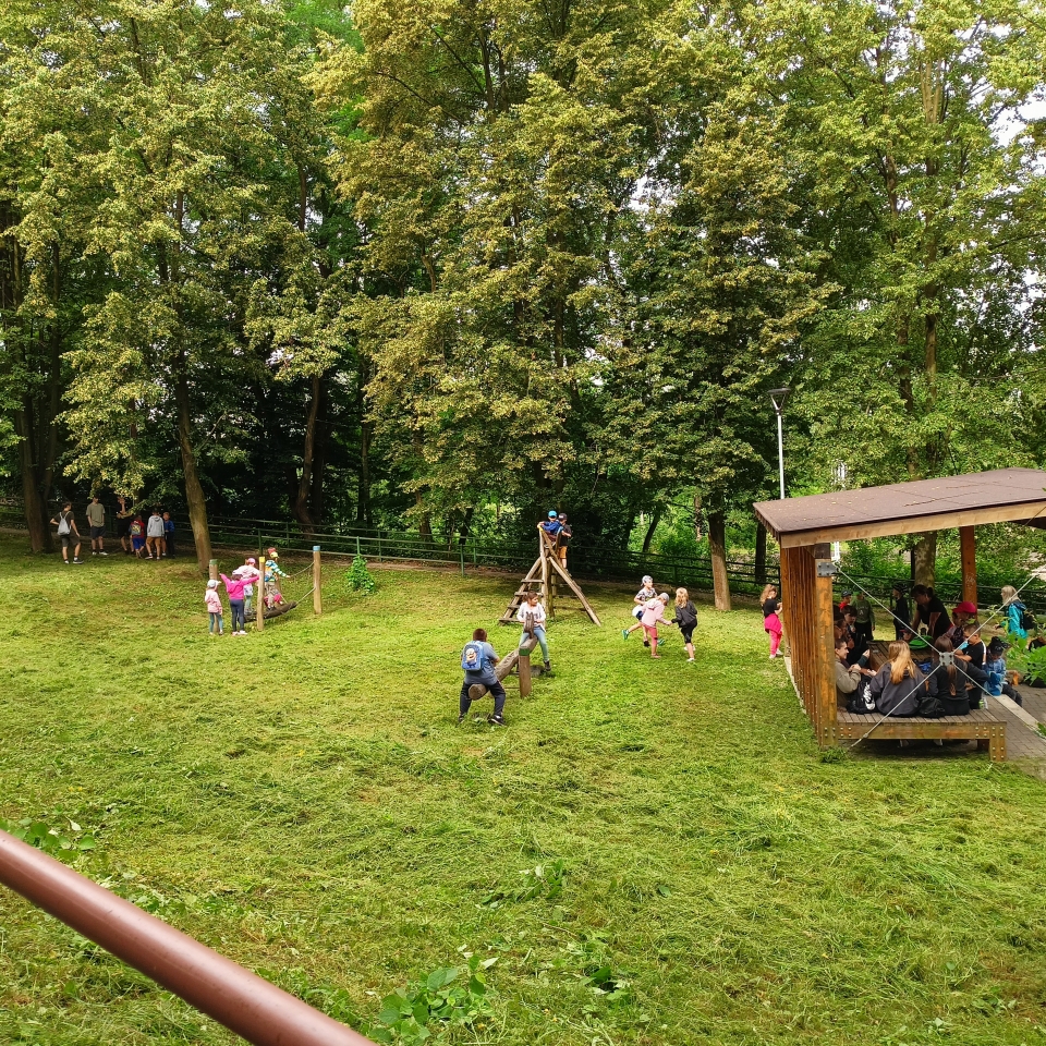 IMG20240620090049.jpg