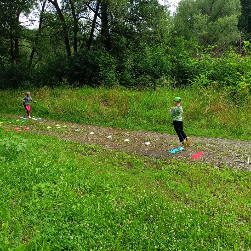 IMG20240620100009.jpg