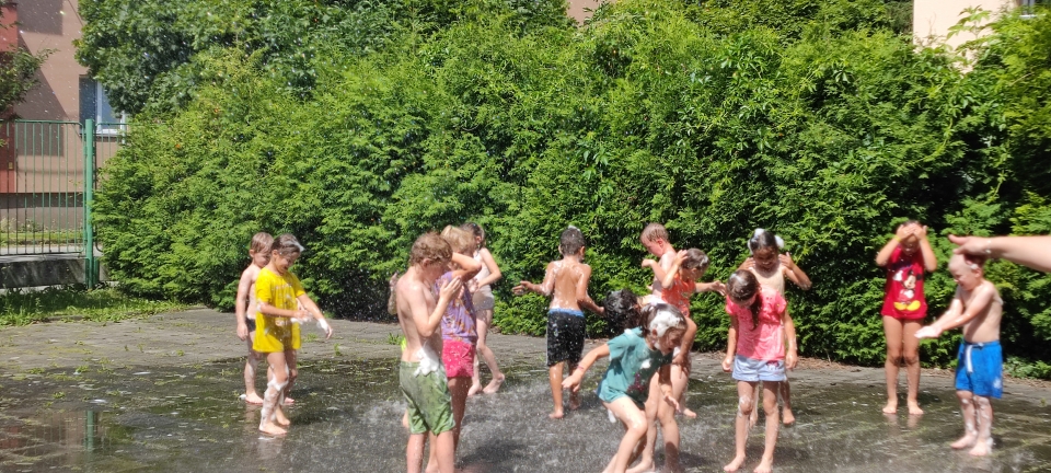 IMG_20240619_104937.jpeg
