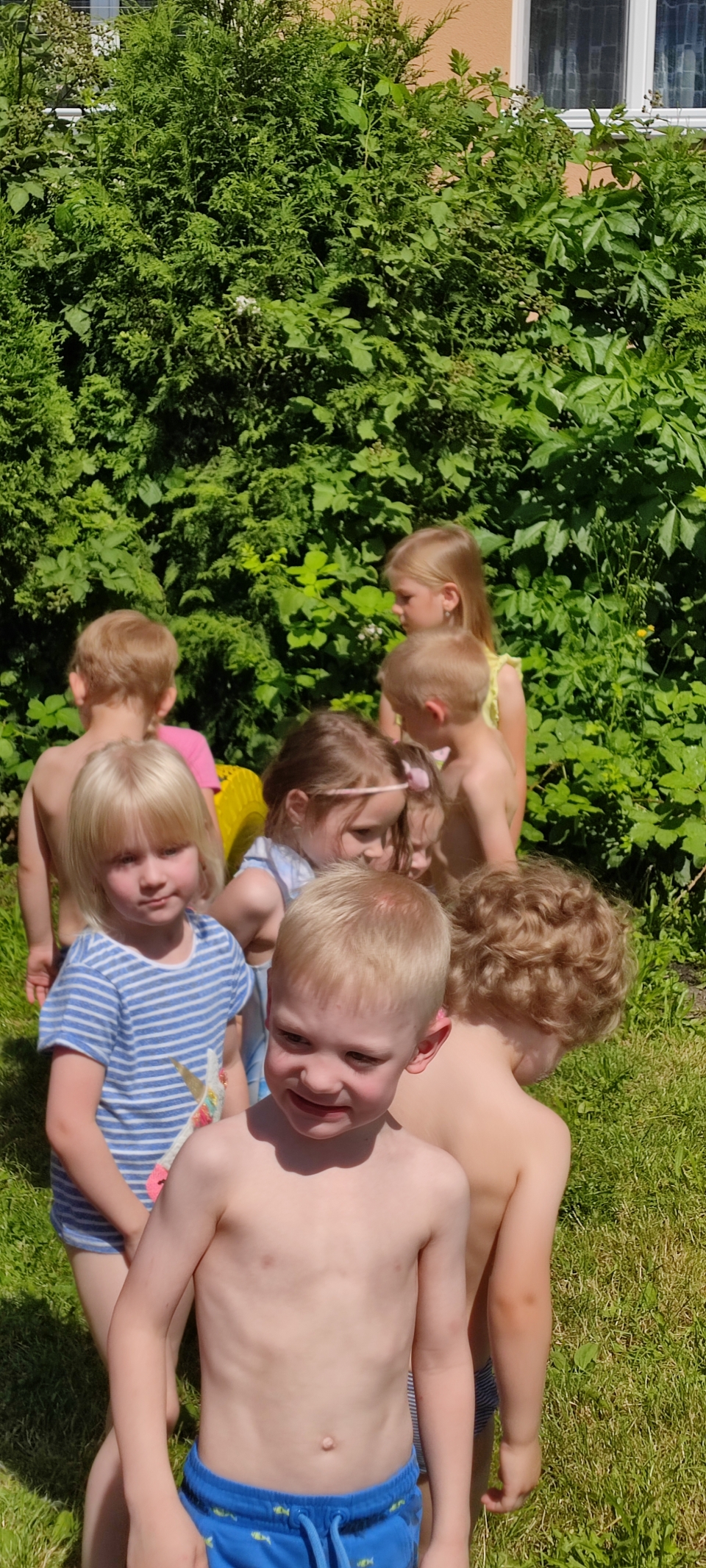 IMG_20240619_102857.jpeg