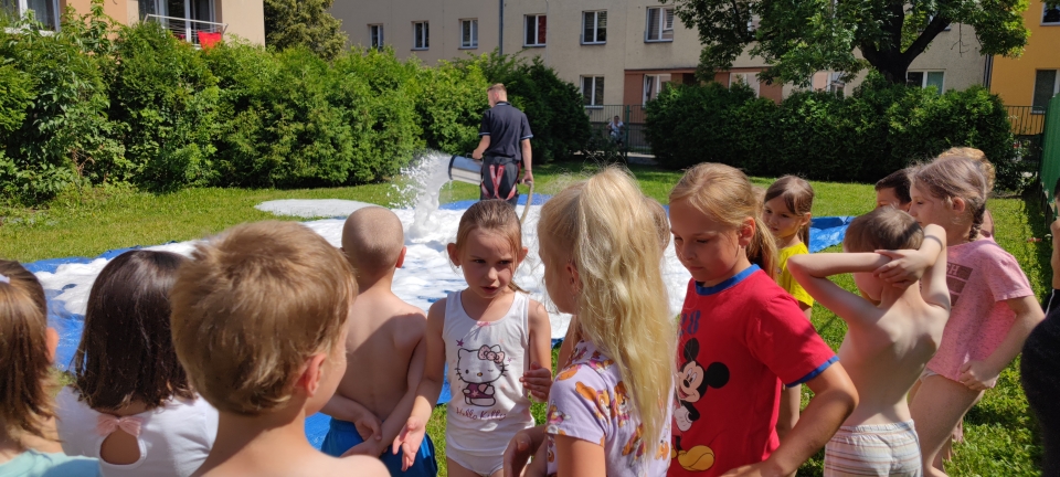 IMG_20240619_102931.jpeg