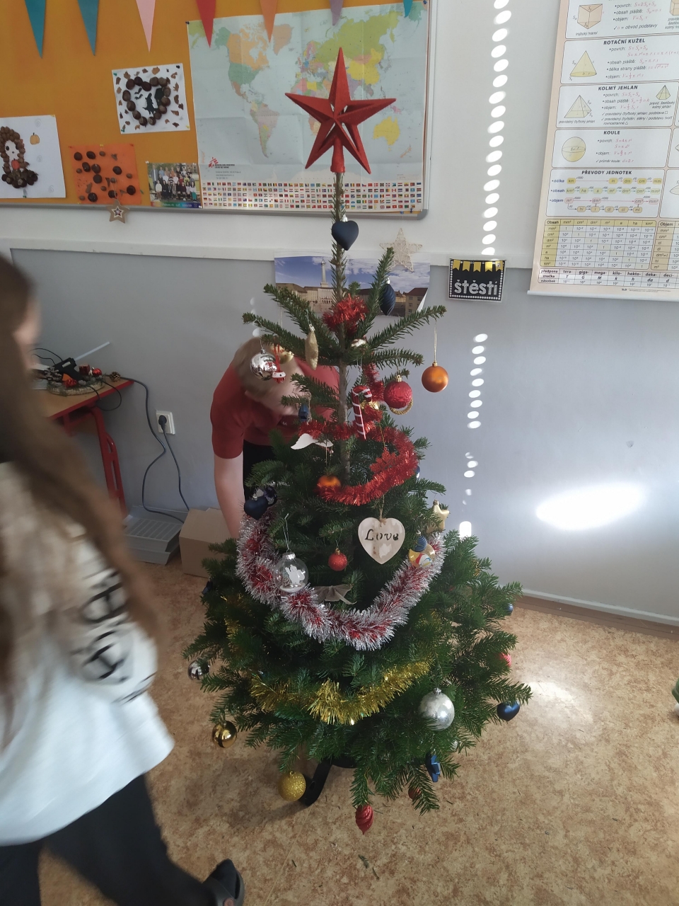 IMG_20241202_121604.jpg