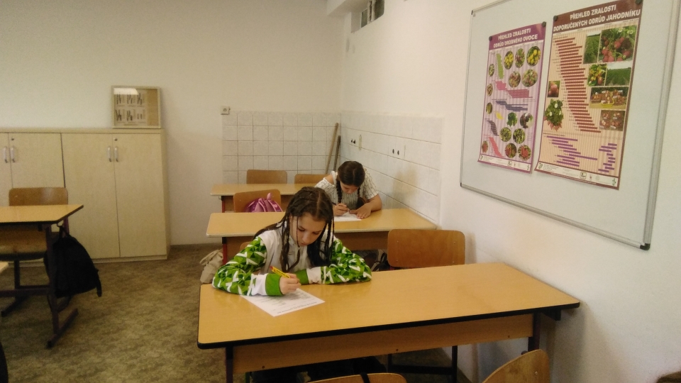 IMG_20250423_091653.jpg