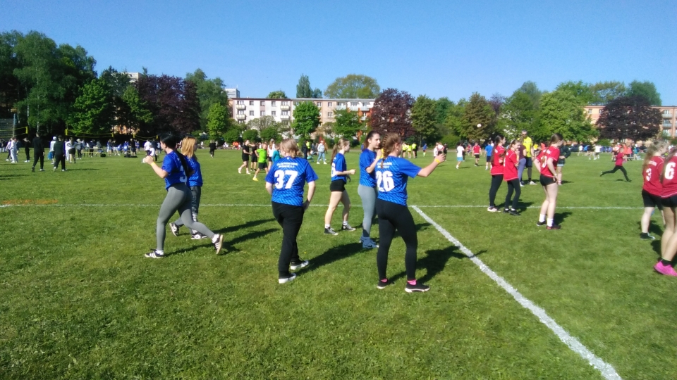 IMG_20250428_091620.jpg