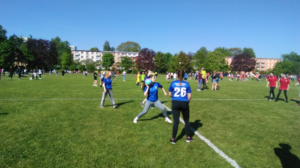 IMG_20250428_091627.jpg