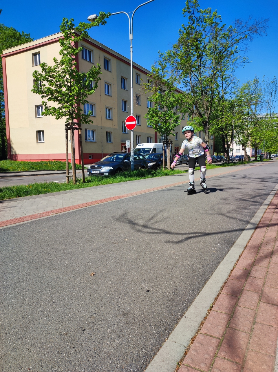 IMG_20250428_101209.jpg